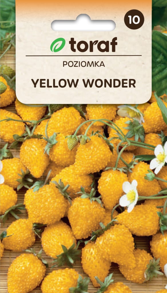Kuumaasikas "Yellow Wonder"