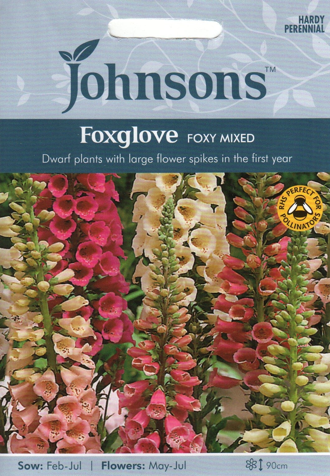 Verev sõrmkübar "Foxy Mixed"
