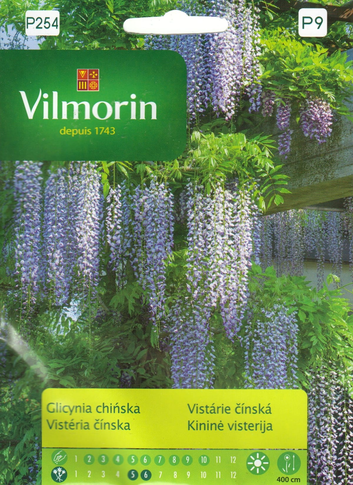 Hiina sinivihm