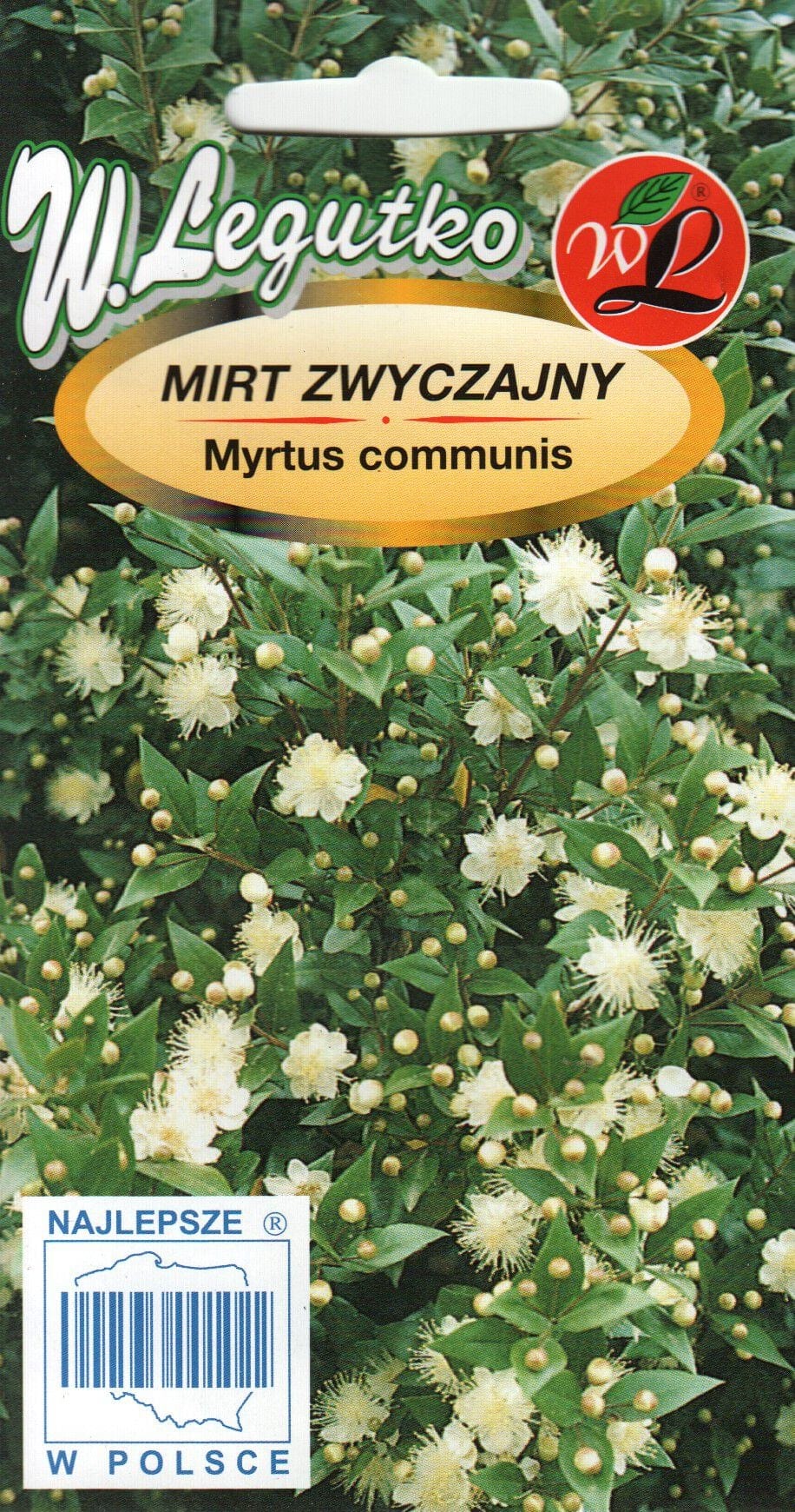 Harilik mürt