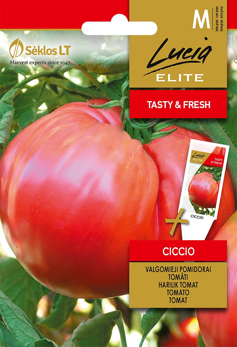 Tomat "Ciccio"