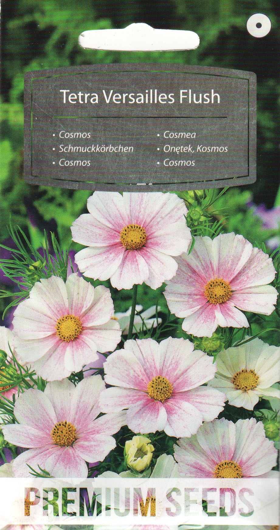 Kosmos "Tetra Versailles Flush"