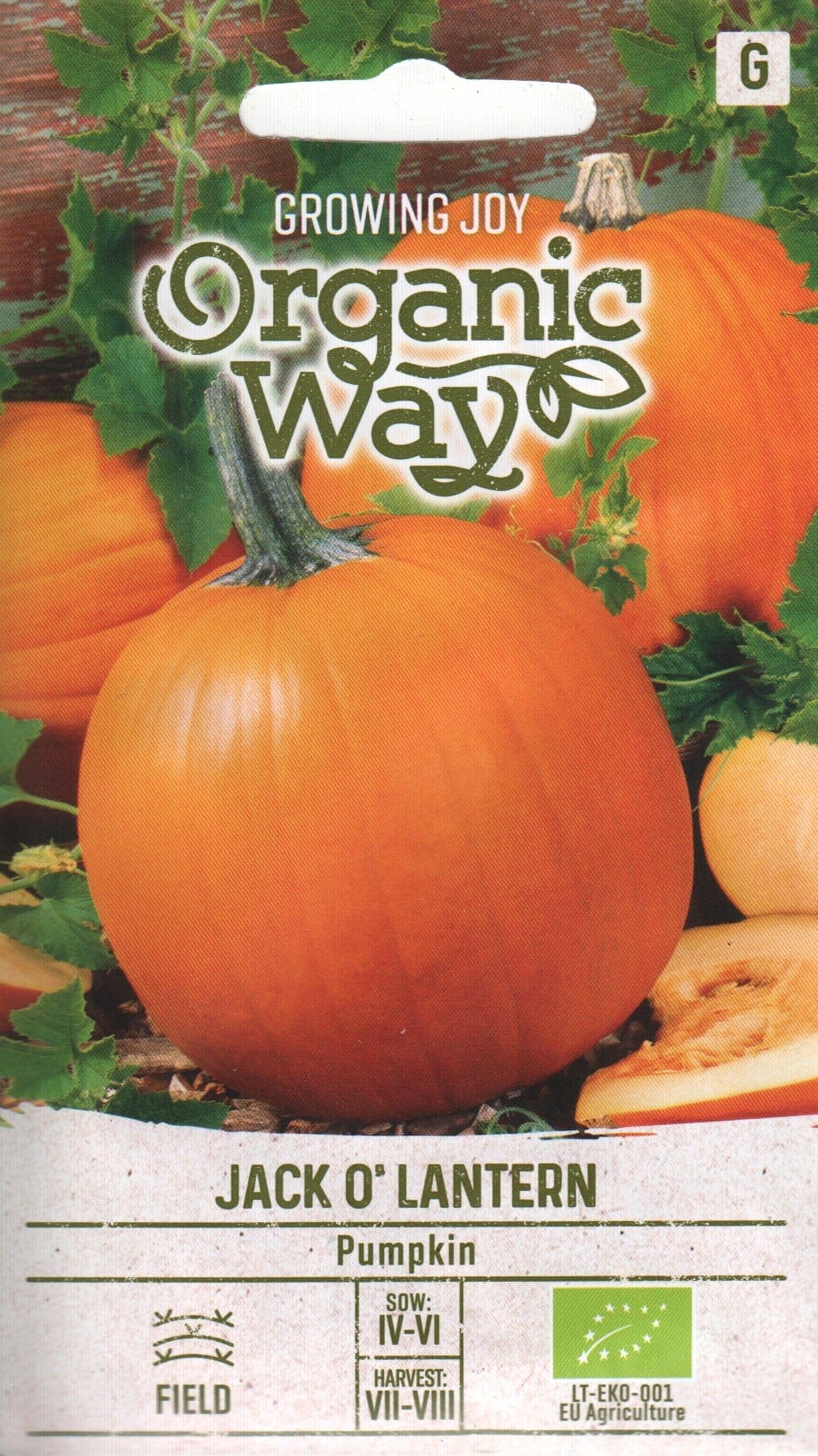 Kõrvits "Jack O`Lantern"