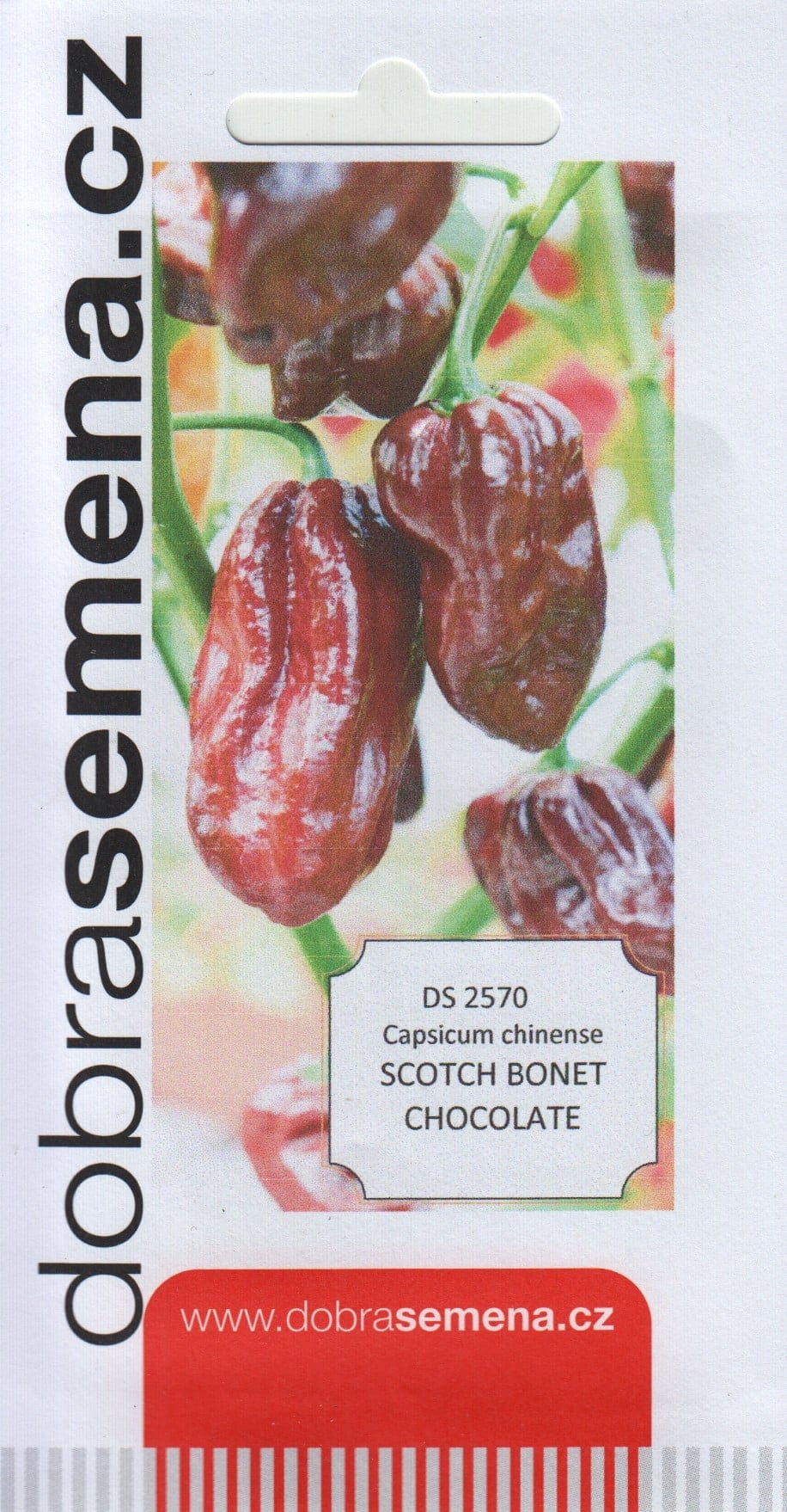 Kariibi paprika "Scotch Bonet Chocolate"
