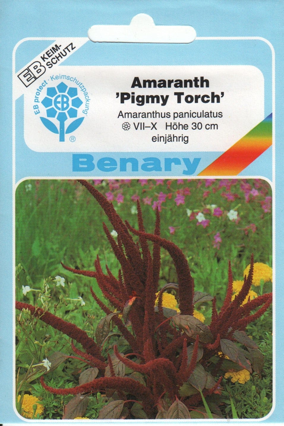 Verev rebashein "Pigmy Torch"