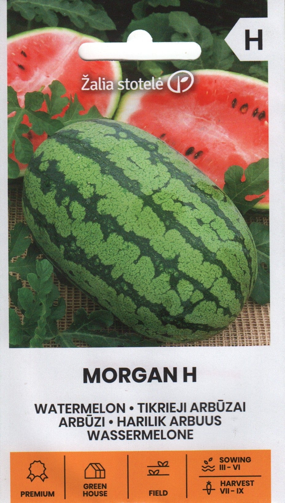 Arbuus "Morgan"