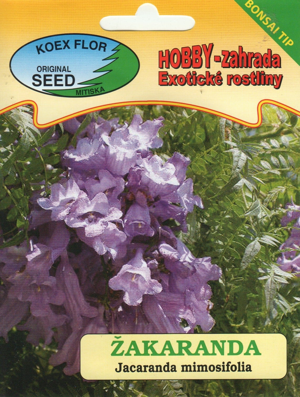 Mimoosilehine jakaranda