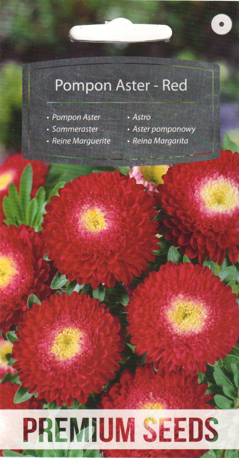 Aster punane