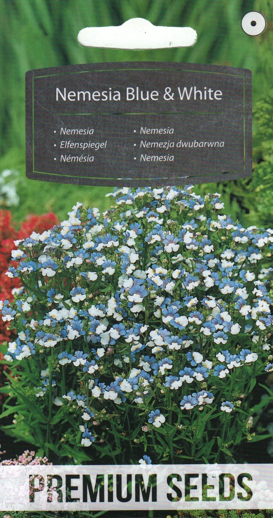 Suureõieline nemeesia "Blue and White"