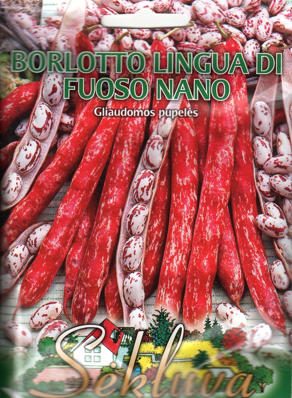 Aeduba "Borlotto Lingua di Fuoso nano"