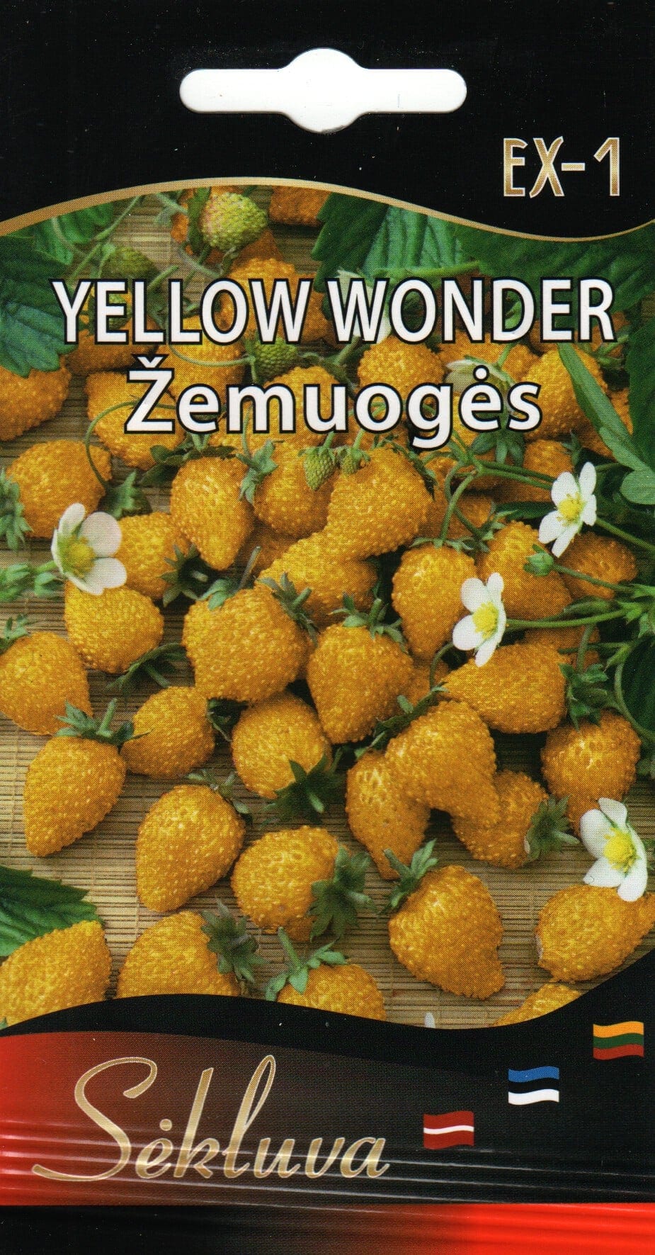 Kuumaasikas "Yellow Wonder"