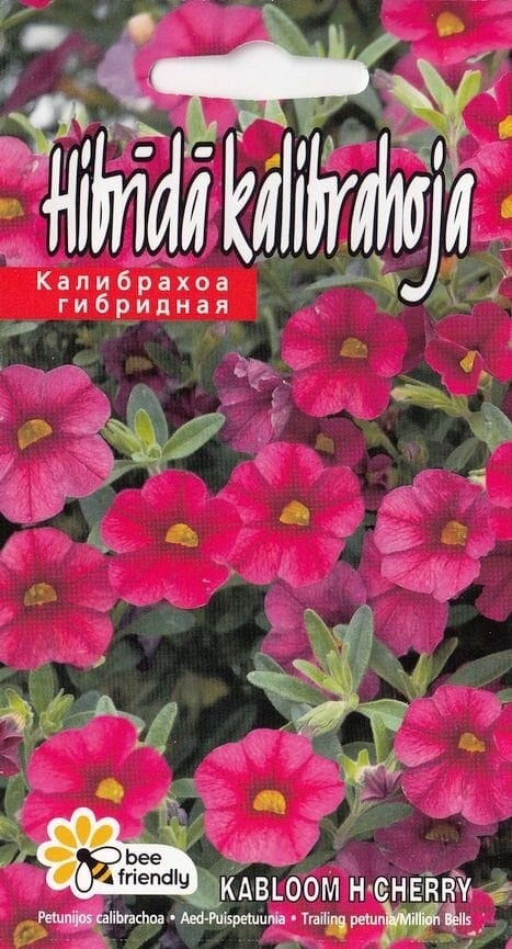 Aed-puispetuunia "Kabloom Cherry"/ Kabloom "Deep Purple" F1