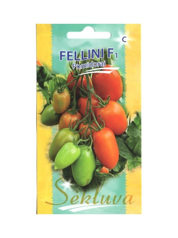 Tomat "Fellini" F1