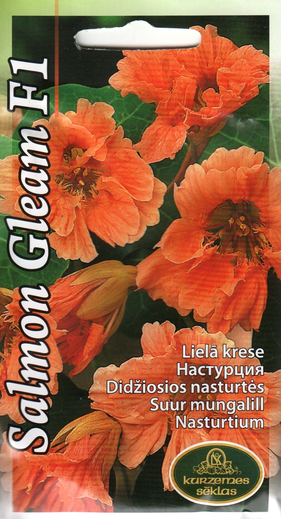 Suur mungalill "Salmon Gleam" F1