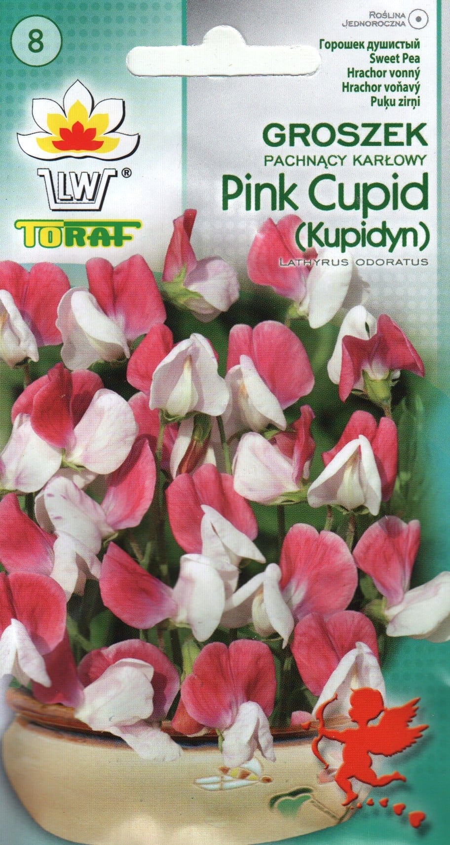 Lõhnav lillhernes madal "Pink Cupid"