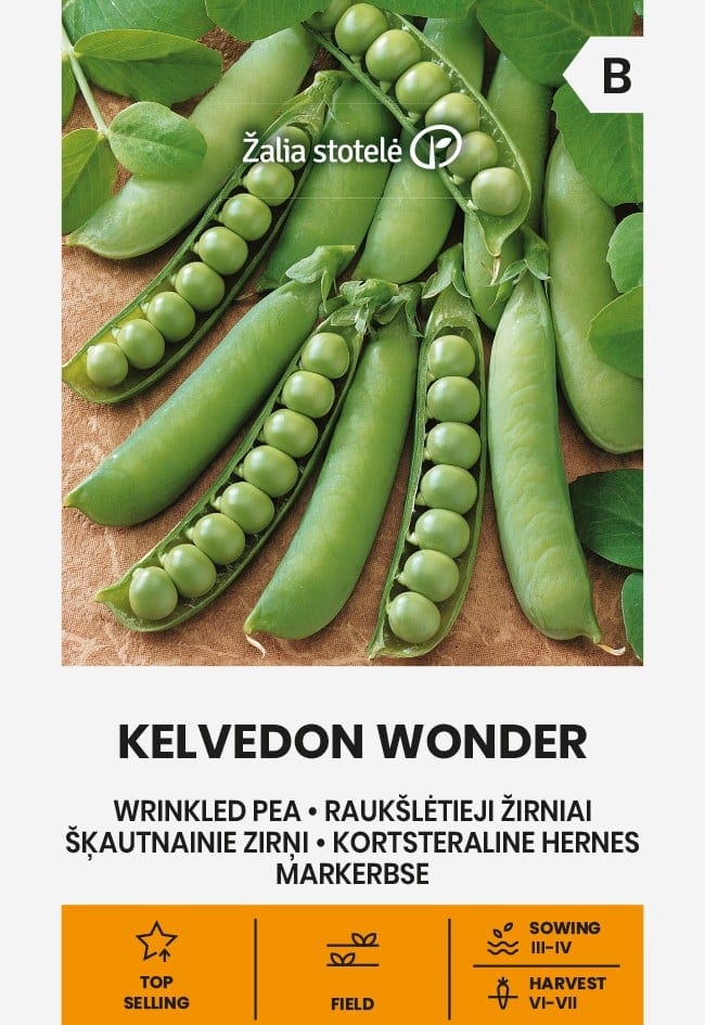 Aedhernes  "Kelvedon Wonder"