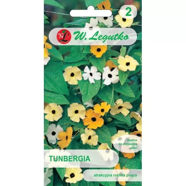 Tiivuline tunbergia segu