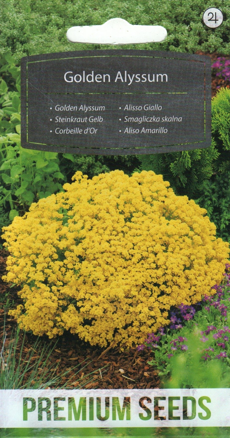 Kalju-kuldkilbik