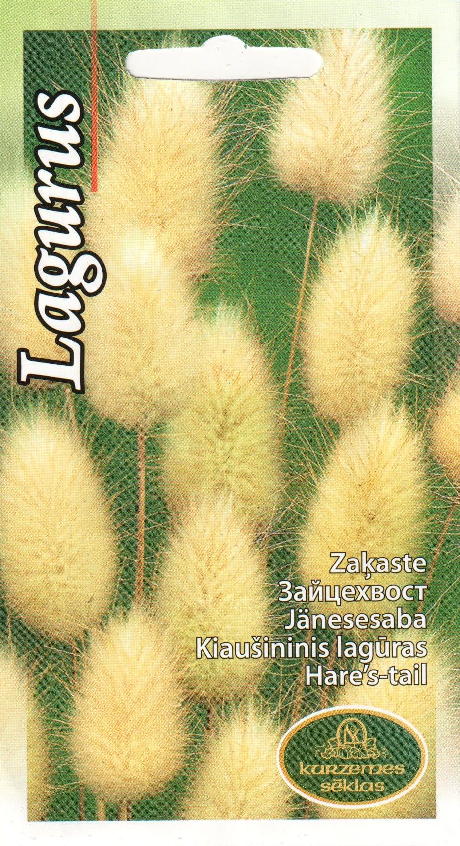 Jänesesaba