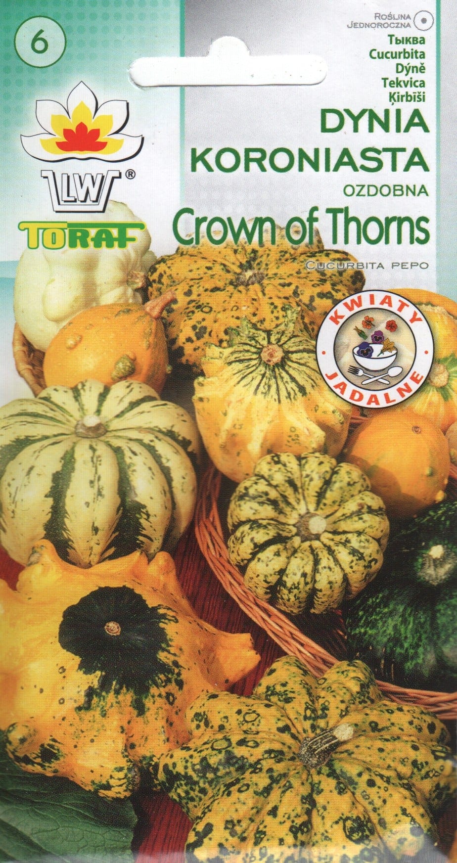Dekoratiivkõrvits "Crown of Thorns"
