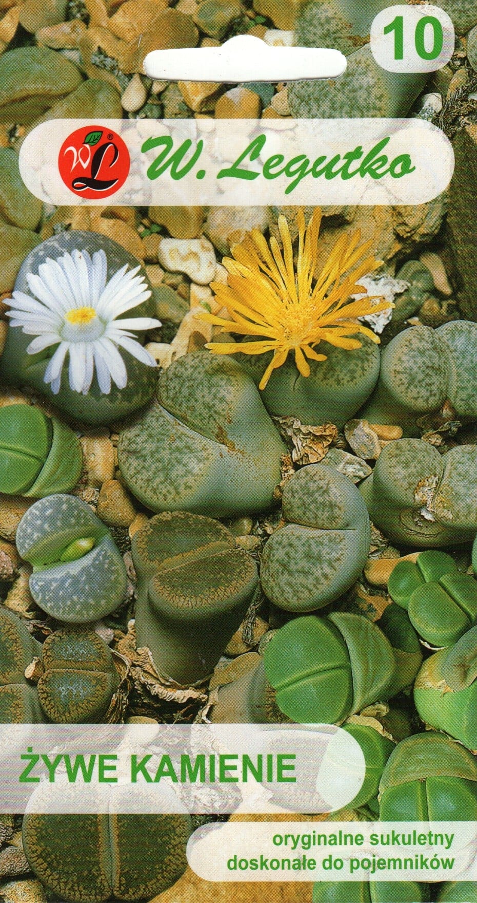 Kivilehik "Living Stones"