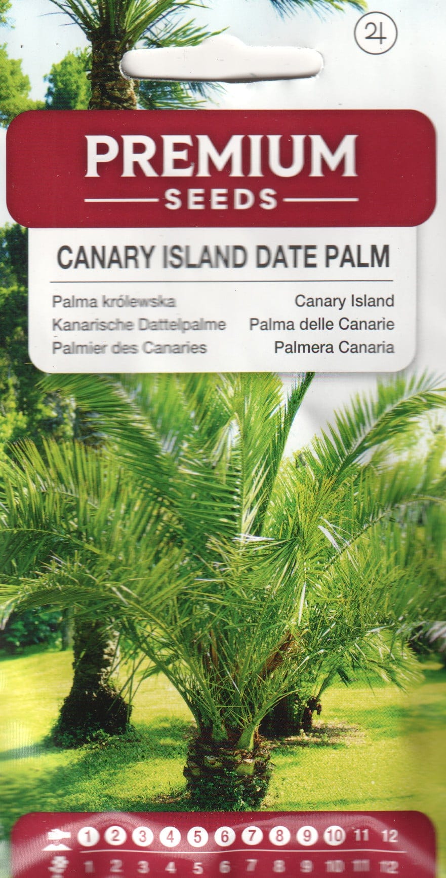 Kanaari datlipalm