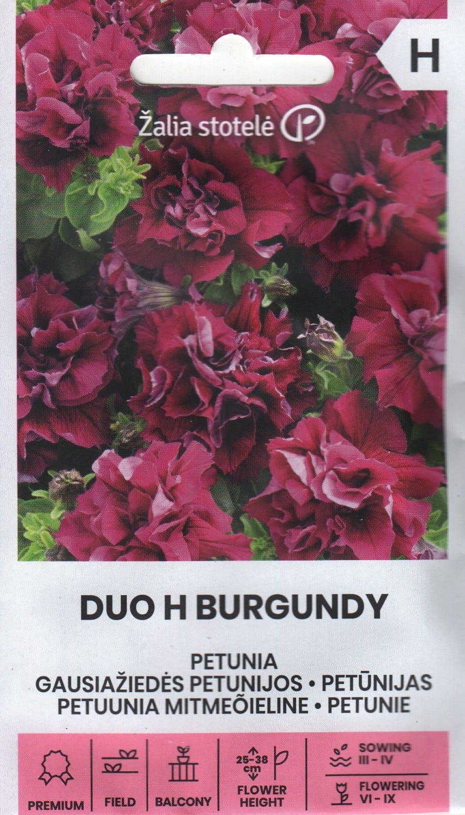 Petuunia "Duo Burgundy" F1