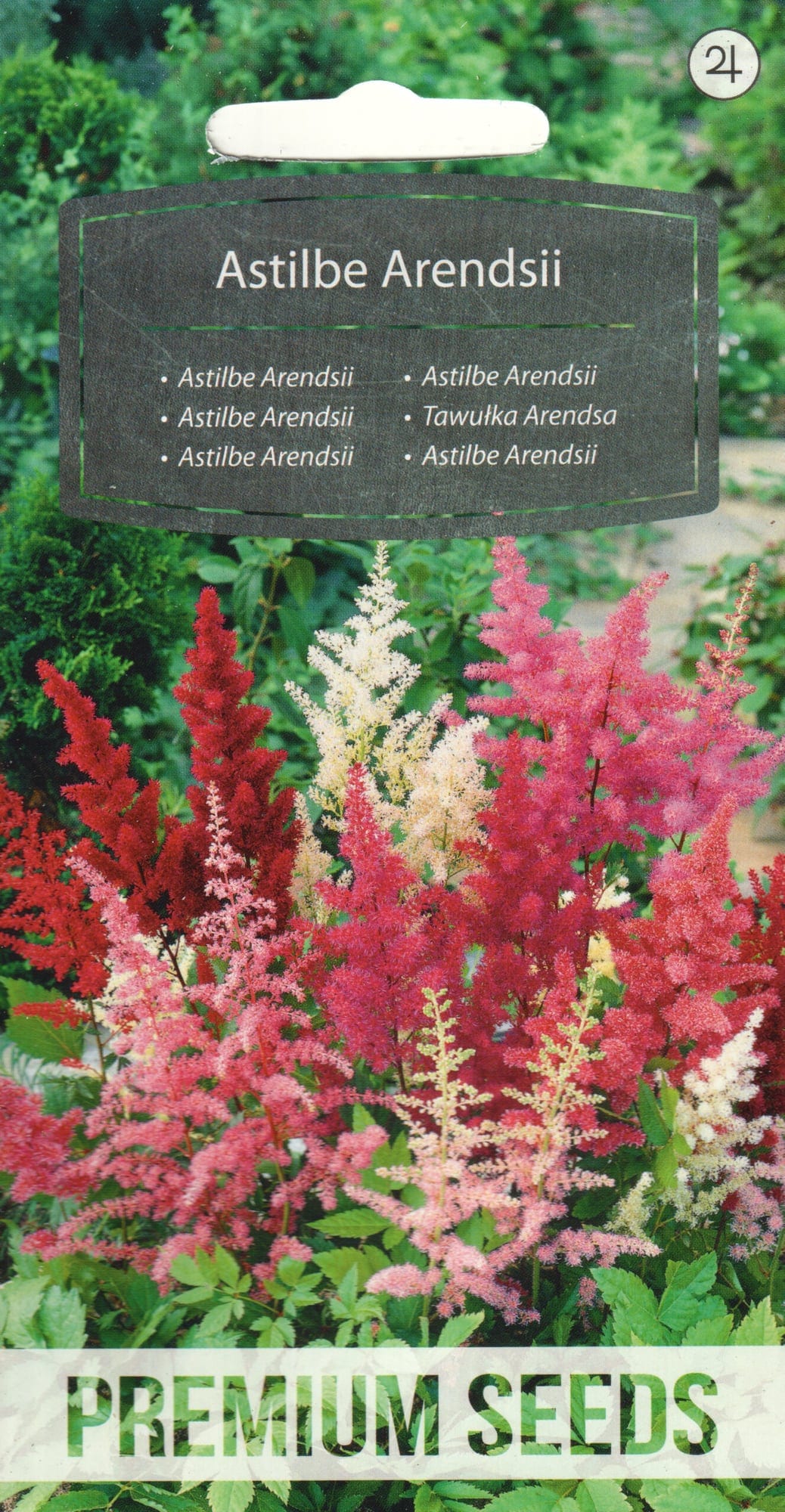 Arendsi astilbe värvide segu