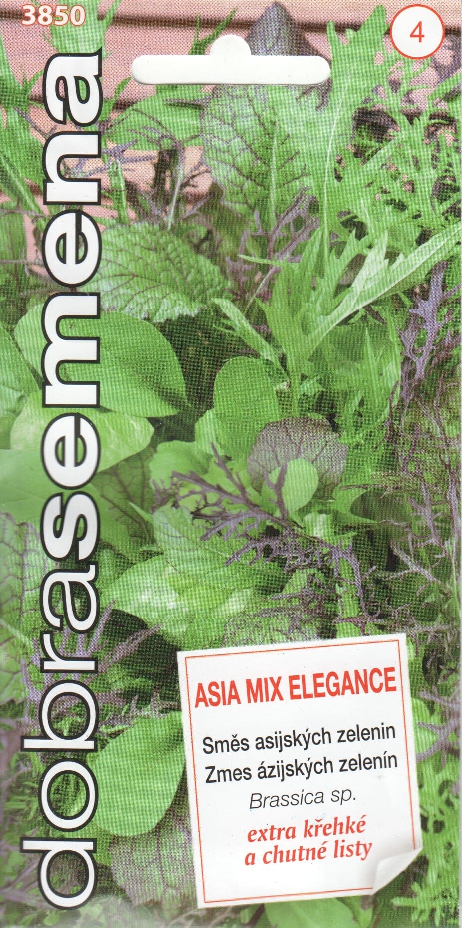 Salat "Elegance"