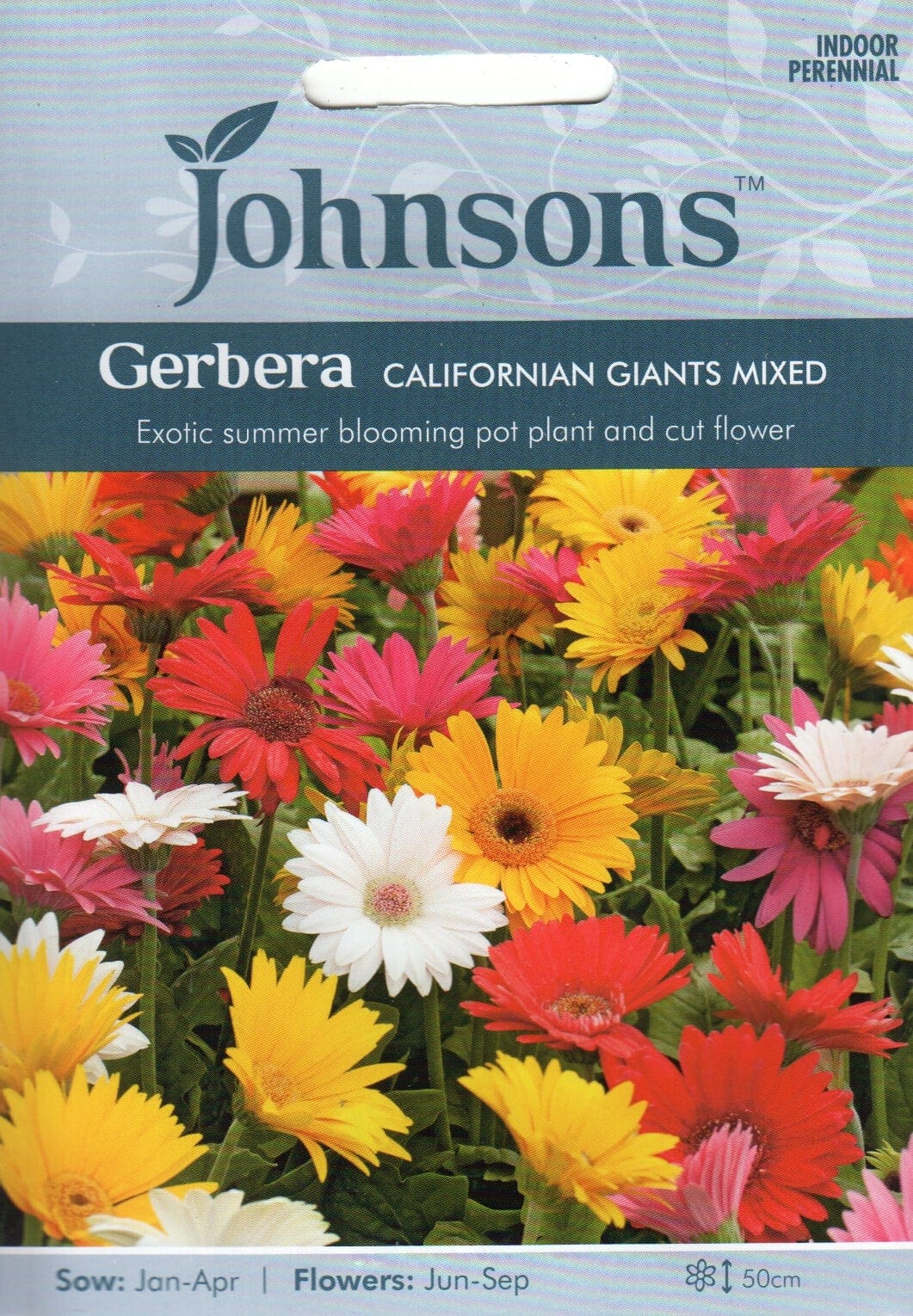 Gerbera "Californian Giants Mixed"