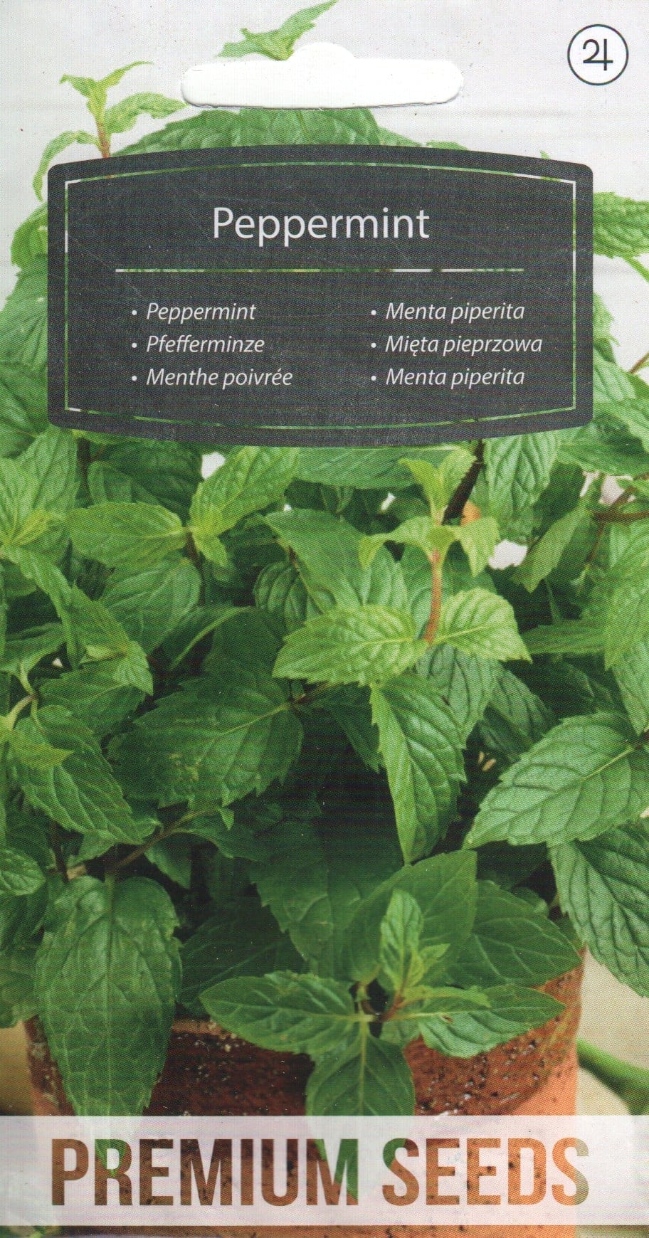 Piparmünt