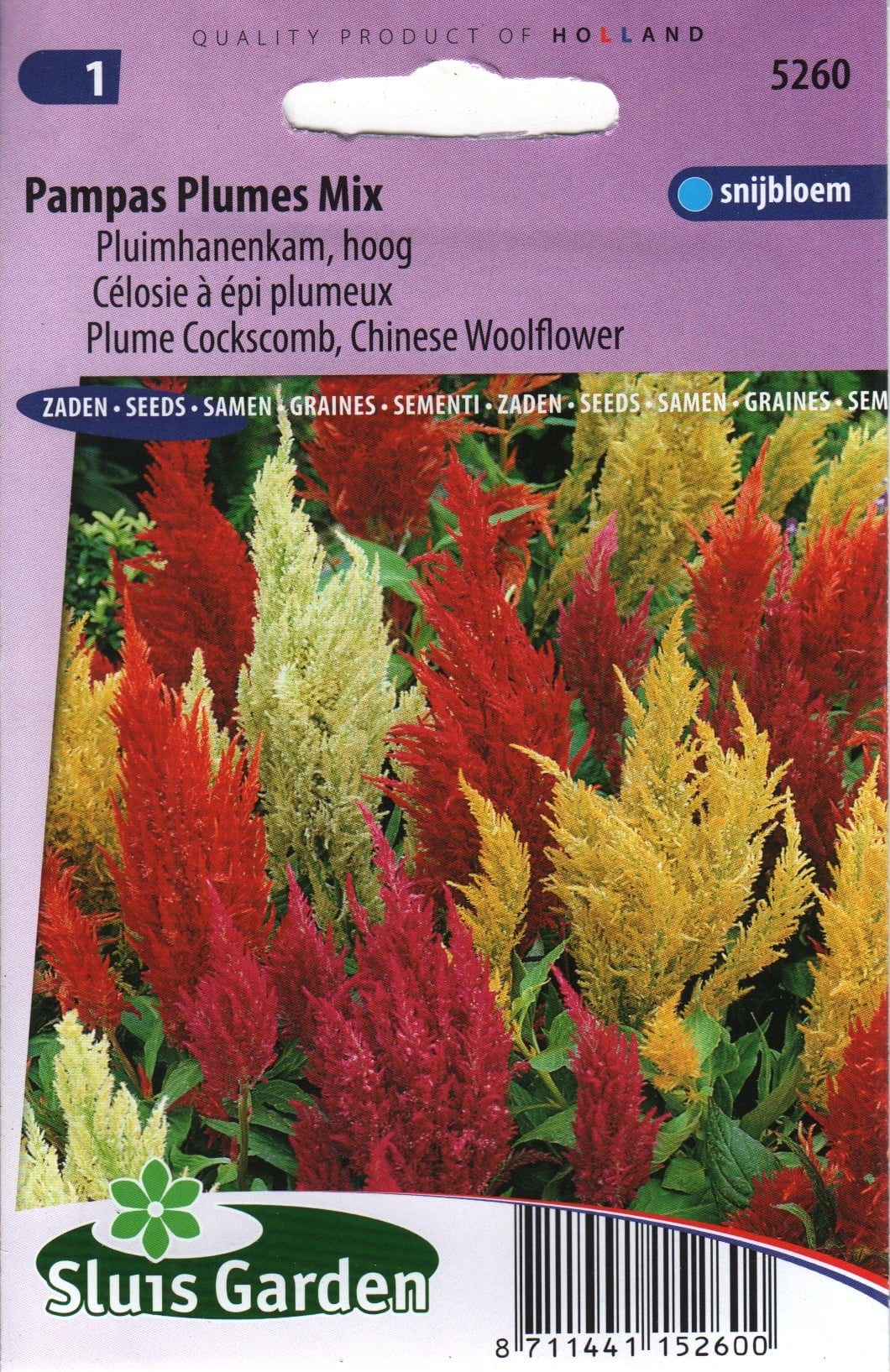 Mätashari "Pampas Plumes Mix"