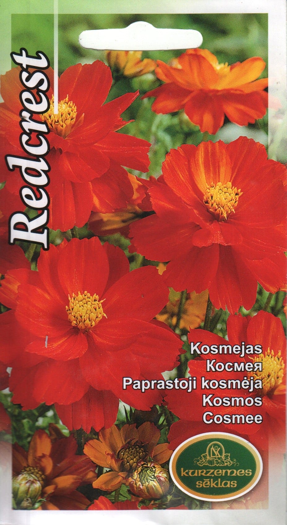 Väävelkollane kosmos "Redcrest"
