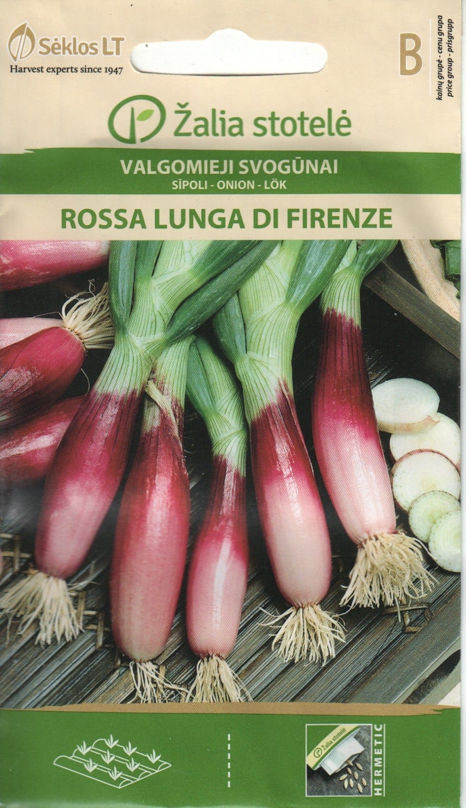 Salatisibul "Rossa Lunga di Firenze"