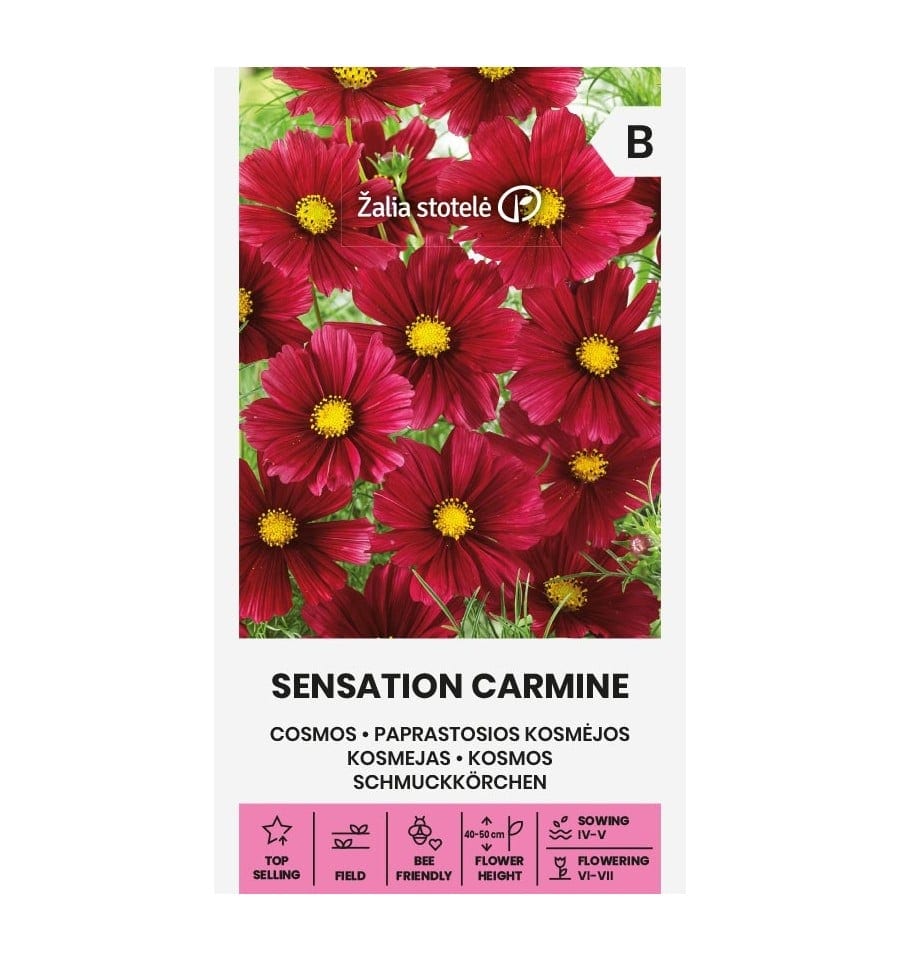 Kosmos "Sensation Carmine"