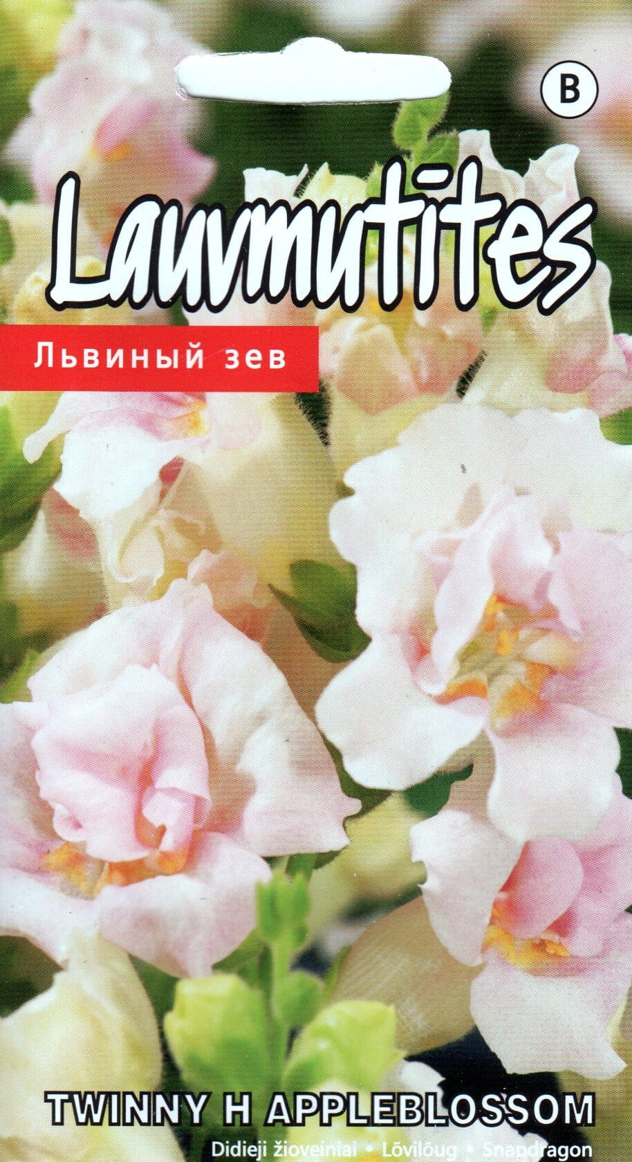 Lõvilõug täidisõieline "Twinny Appleblossom" F1
