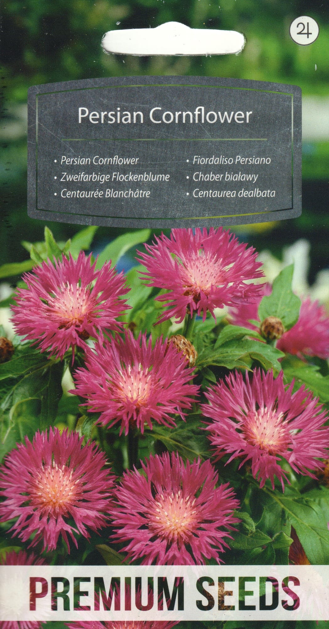 Valkjas jumikas "Persian Cornflower"