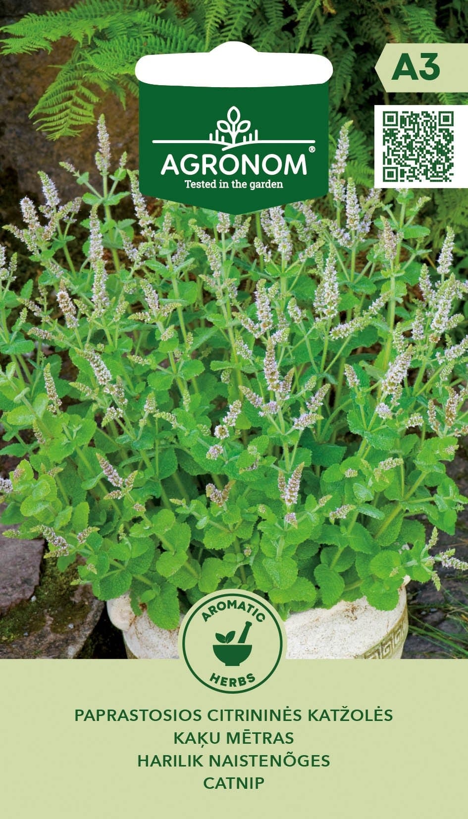 Harilik naistenõges "Catnip"
