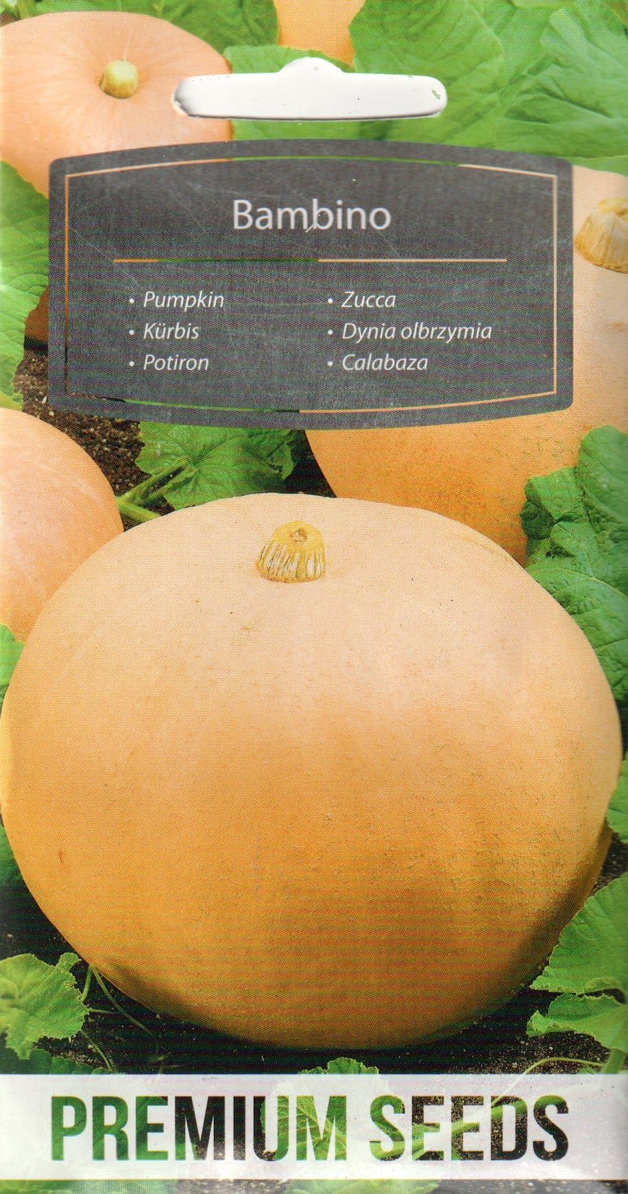 Kõrvits "Bambino"