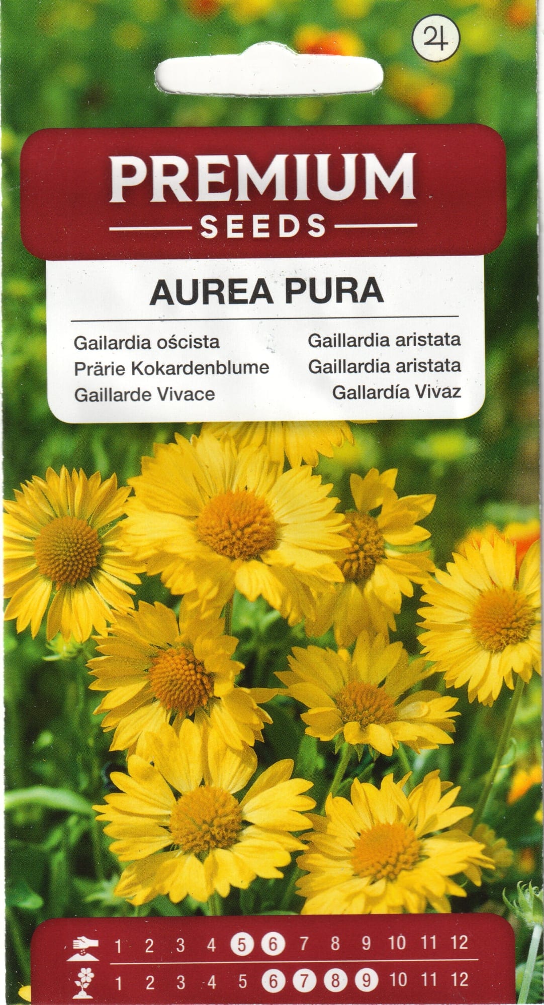 Ohtene mõrsjalill "Aurea Pura"