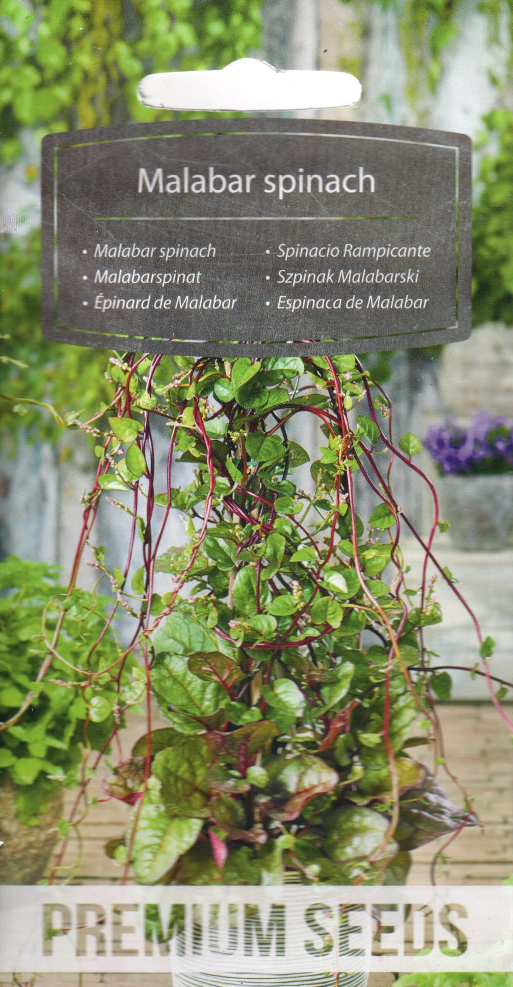 Spinatbasella "Rubra"