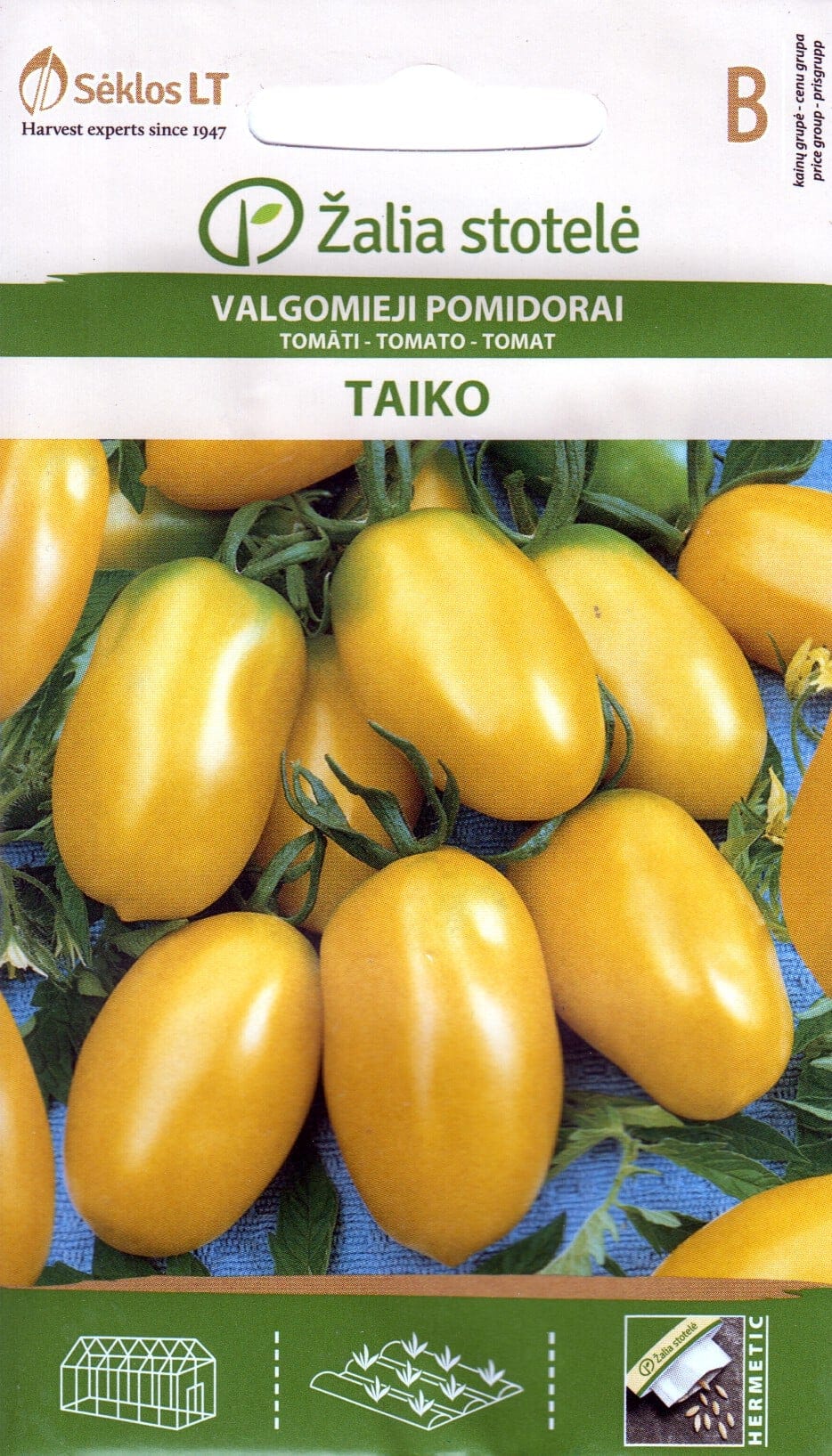 Tomat "Taiko"