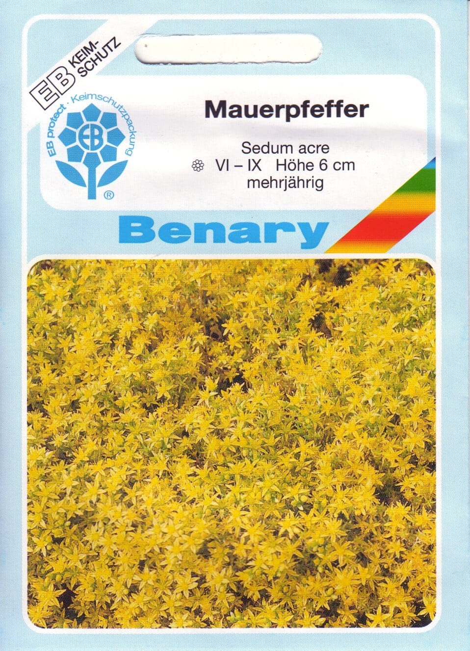 Harilik kukehari "Mauerpfeffer"