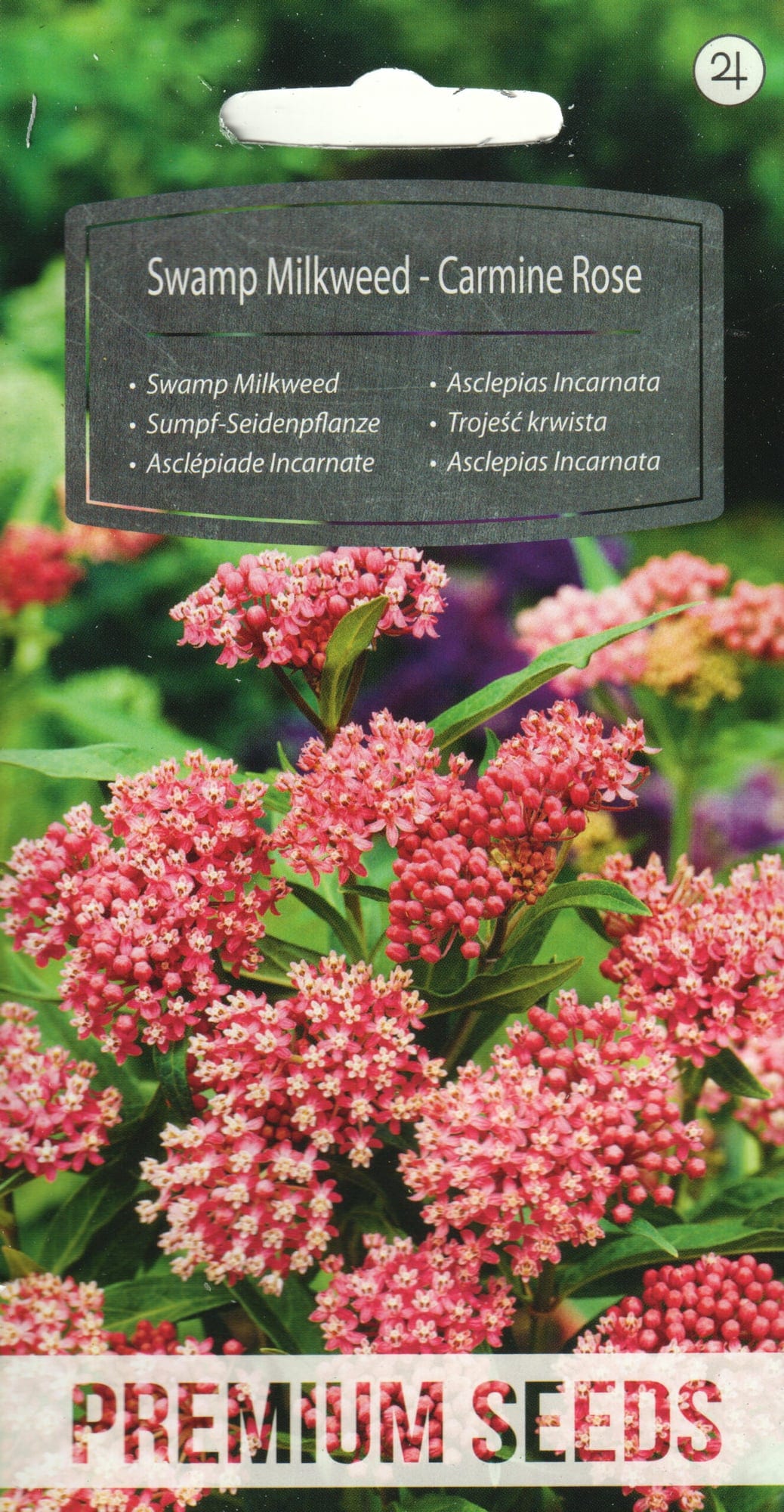 Kahkjaspunane askleepias "Carmine Rose"