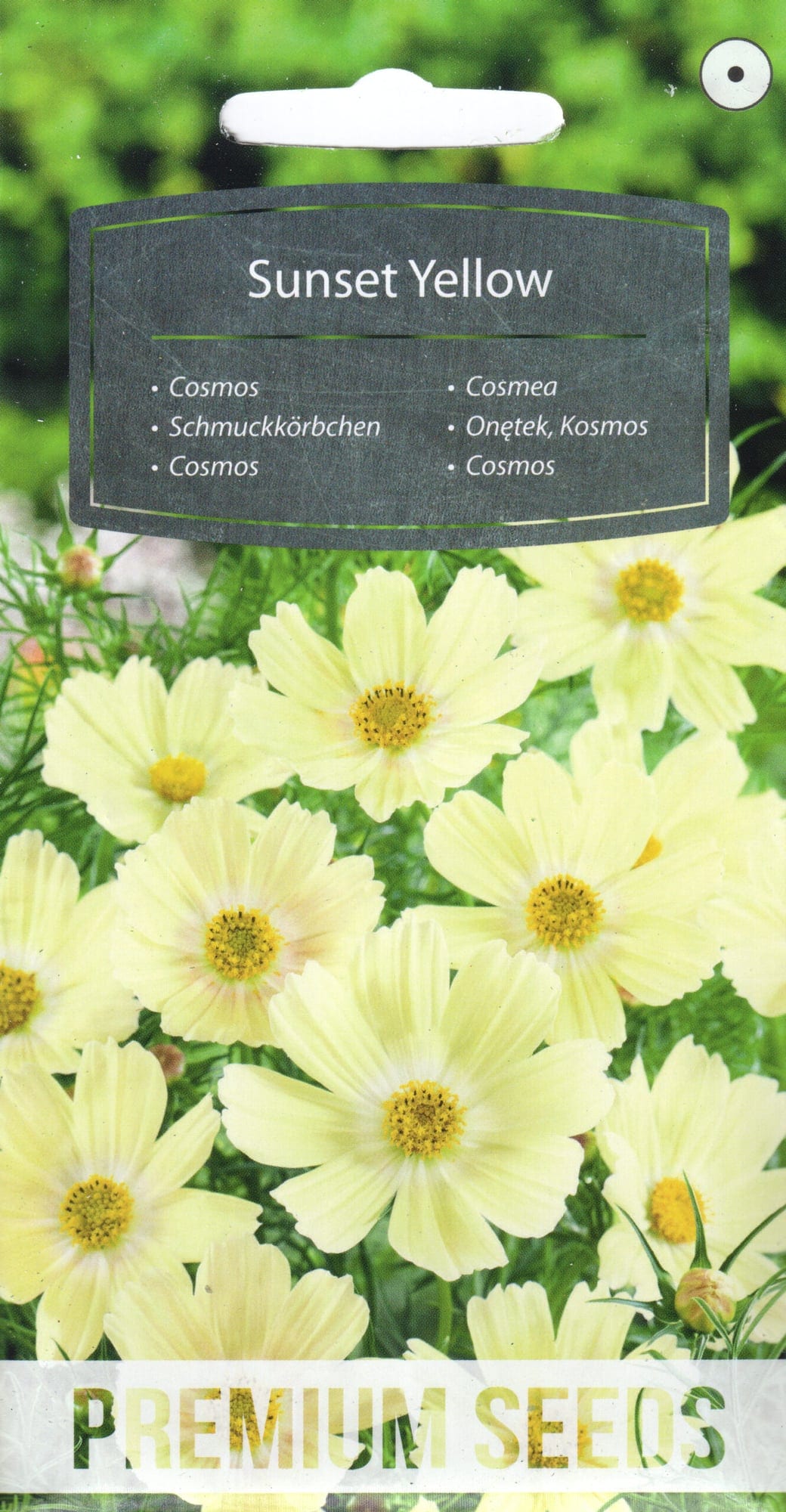 Kosmos "Sunset Yellow"