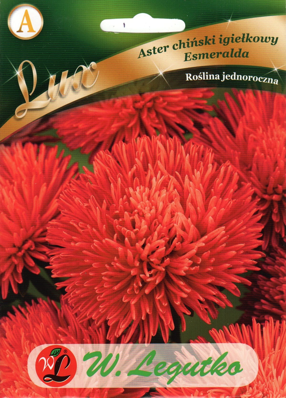 Aster "Esmeralda"