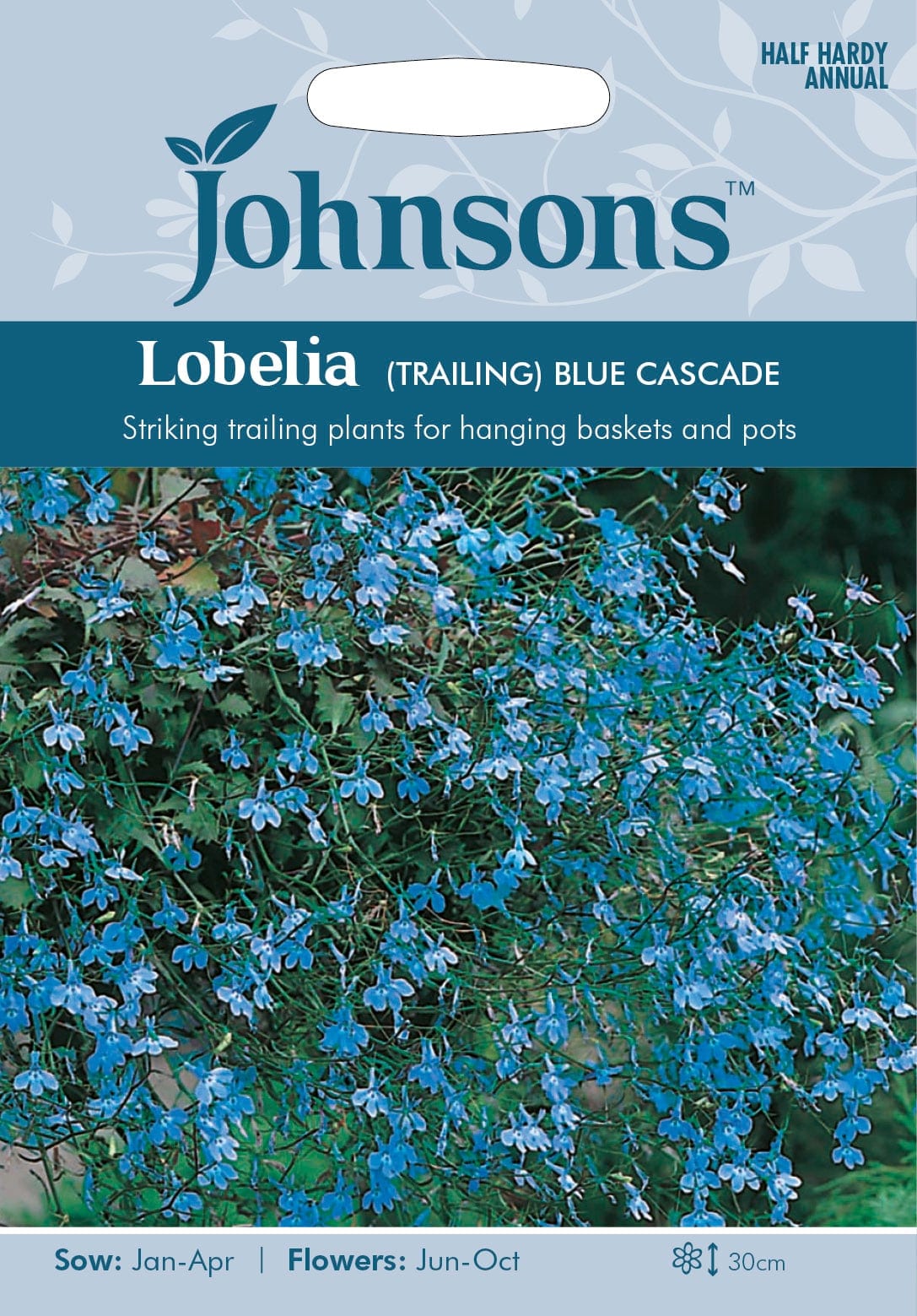 Ripp-lobeelia "Blue Cascade"