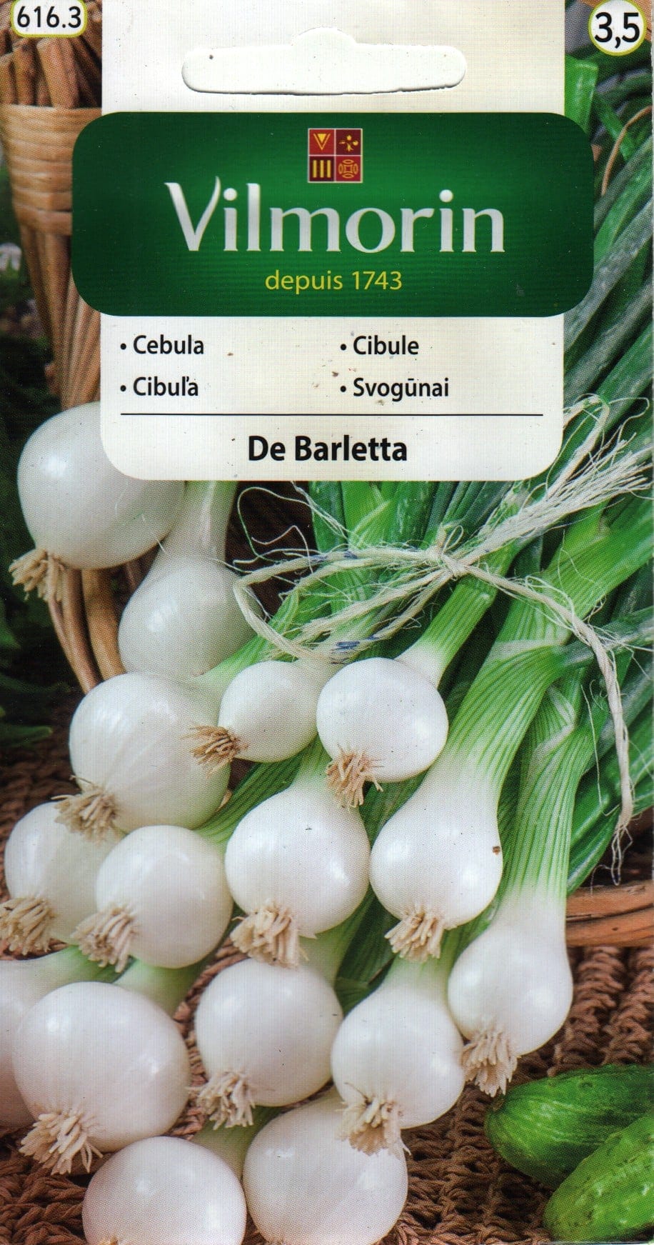 Pärlsibul "De Barletta"