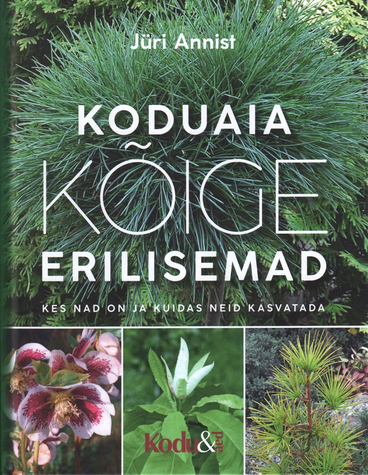 "Koduaia kõige erilisemad  Kes nad on ja kuidas neid kasvatada"