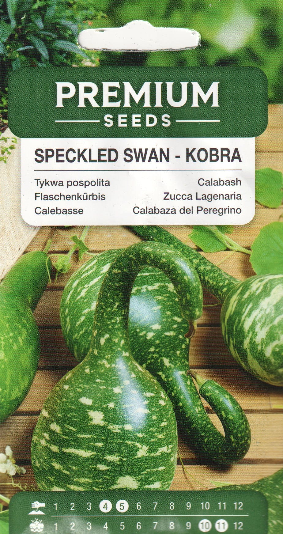 Dekoratiivkõrvits "Kobra"
